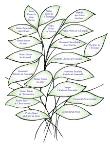 Albero
