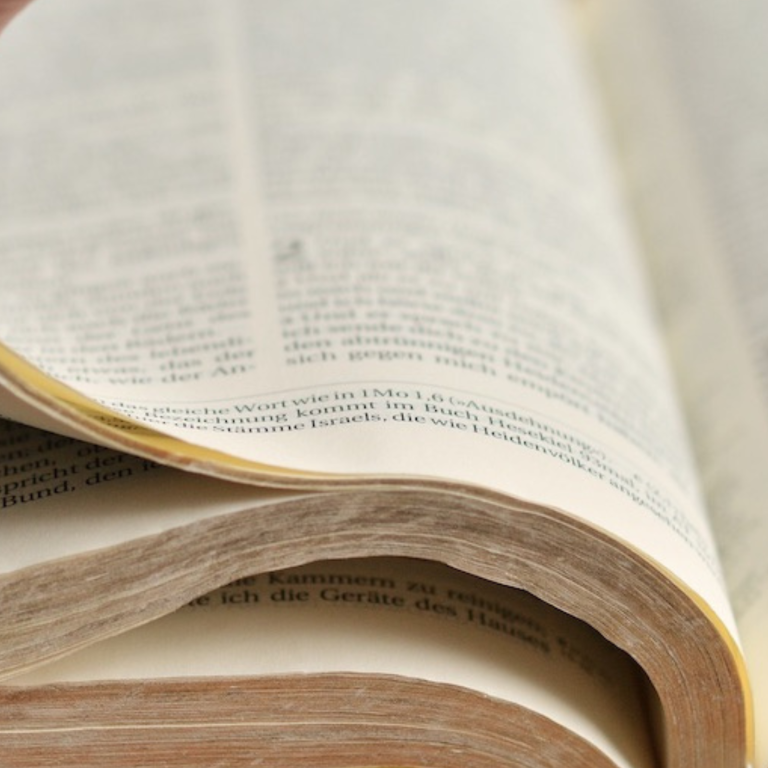 26-27_Lectio_adulti_BL_imm